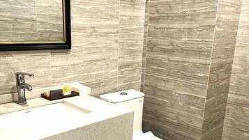 Shower, hydromassage showerhead, hair dryer