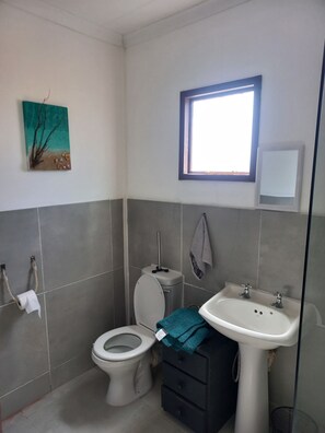 Shower, towels, soap, toilet paper