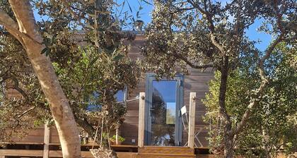 Tiny House mit Blick auf Pferde