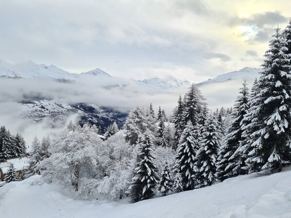 A snowy mountain landscape with evergreen trees. - Auberge de l'Ours (Vex)
