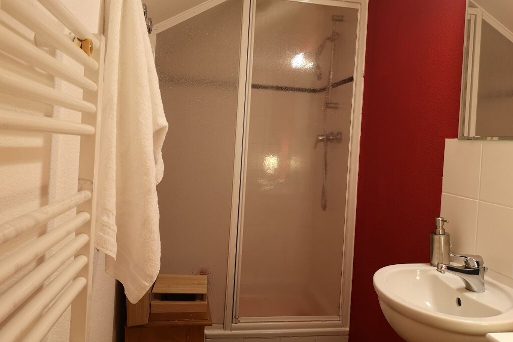 A bathroom with a glass-enclosed shower, a white sink, and a red wall.