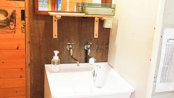 Een aparte badkuip en douche, een haardroger