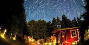 Escena nocturna con efecto estela de estrellas en el cielo, rodeada por un bosque y edificios iluminados.