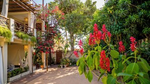 Un patio con una hamaca, plantas en macetas y una escalera de madera.