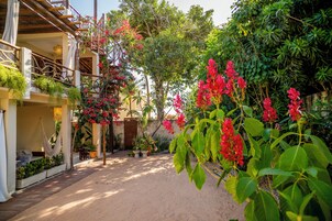 Vista para o jardim