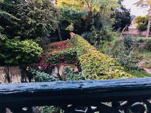 L'orangerie - Les Demoiselles à Versailles