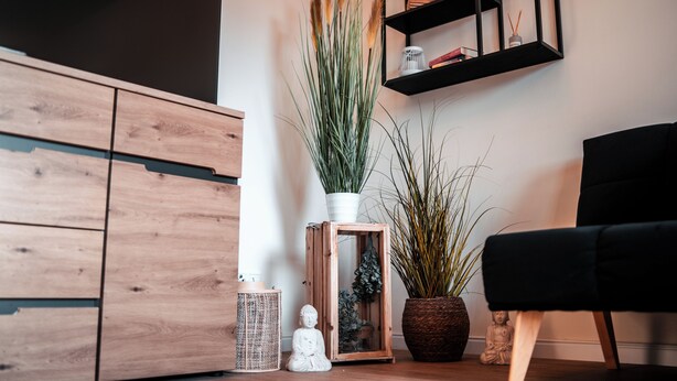 Une pièce avec un meuble en bois, une chaise noire et diverses plantes en pot.