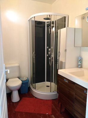 Un baño con ducha envuelta en vidrio, inodoro, cubo de basura azul, alfombra roja y lavamanos blanco con espejo arriba.
