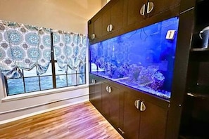 A room with a large aquarium, wooden flooring, and a window with patterned curtains.