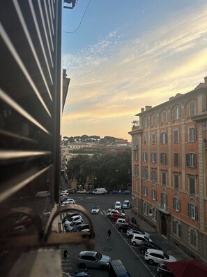 Vista desde la propiedad