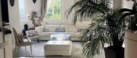 TV connectée, cheminée, lecteur de DVD, livres