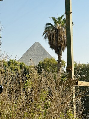 A pyramid structure with a palm tree in the foreground. - H10 Pyramids View (Giza)