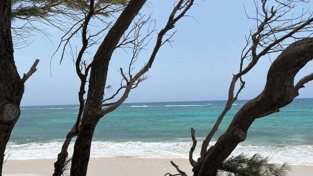 A beach with clear turquoise waters and a sandy shore, framed by leafless trees. - Turtle Hideaway is close to Beach in Silversands, Barbados only a 3 minute walk. (Silver sands)