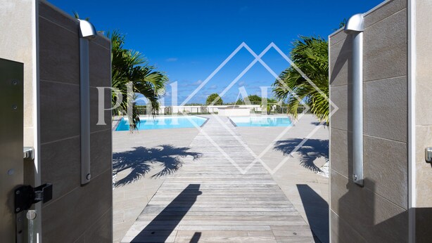 Een zwembadgedeelte met een houten terras dat uitkomt bij een zwembad, omringd door palmbomen en een helderblauwe lucht.