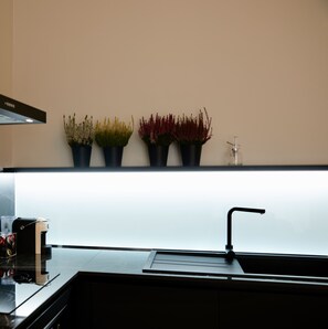 Fridge, oven, stovetop, coffee/tea maker