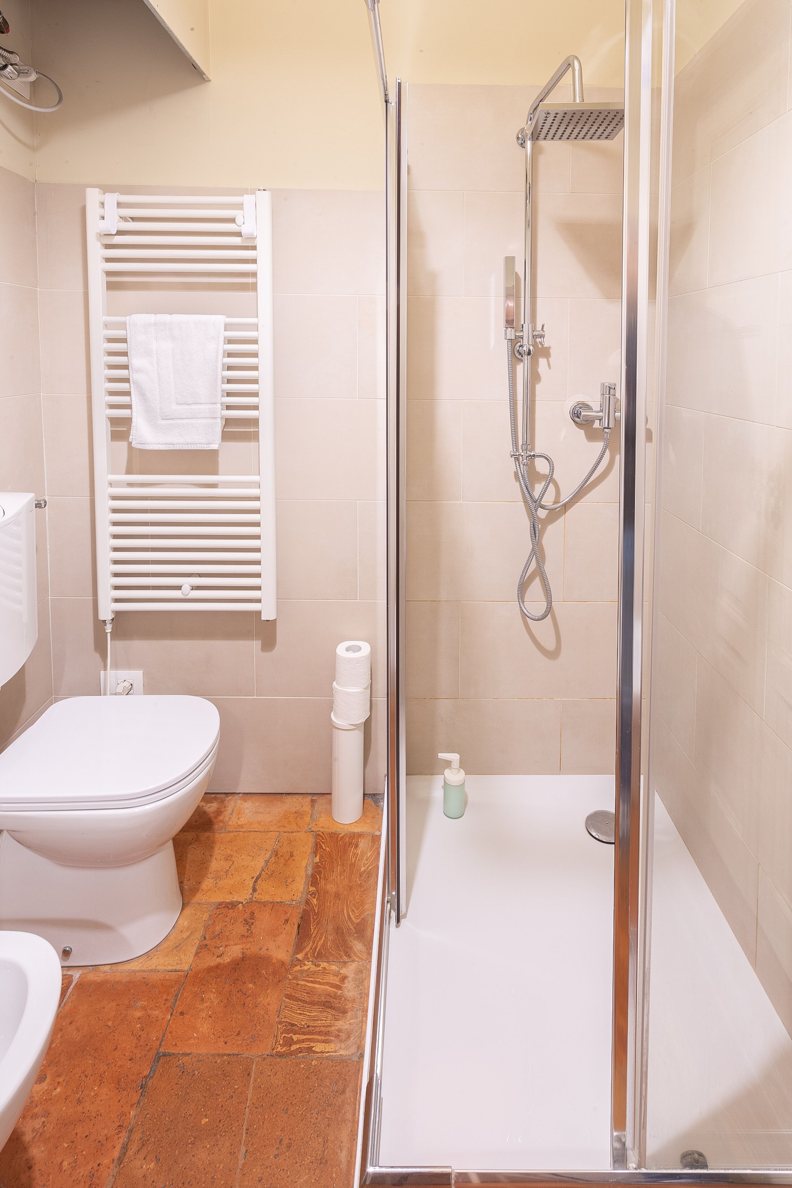 Shower, hair dryer, bidet, towels