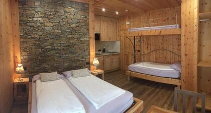 Studio with Sofa Bed