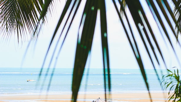 A beachside lounge area with sun loungers and umbrellas, overlooking the ocean.