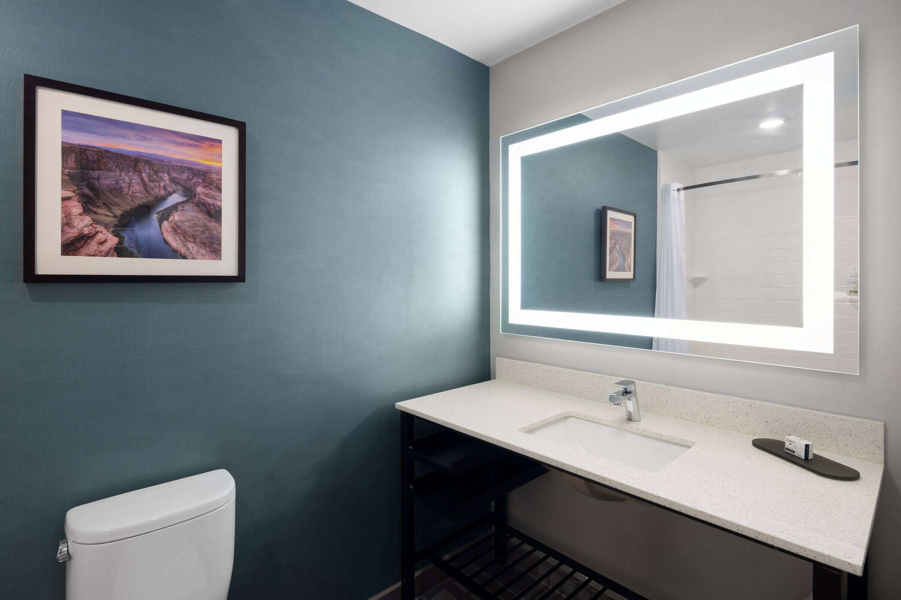 A bathroom with a framed landscape painting, a large mirror, and a white sink.