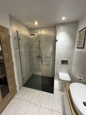 Shower, towels, toilet paper