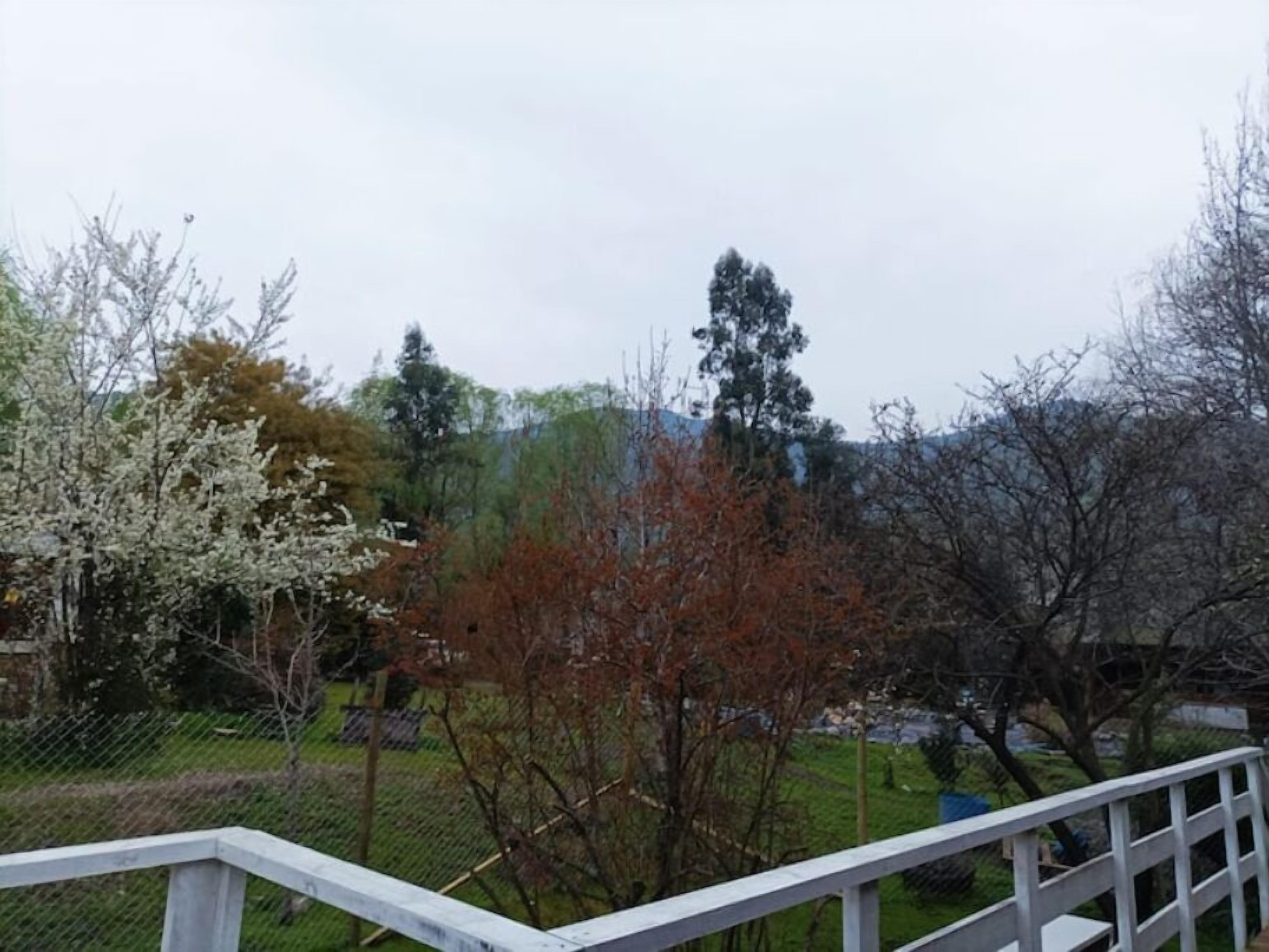 Vista desde un balcón con baranda blanca, sobre un jardín cercado con varios árboles, algunos con flores blancas y otros con hojas marrones, y un edificio distante.