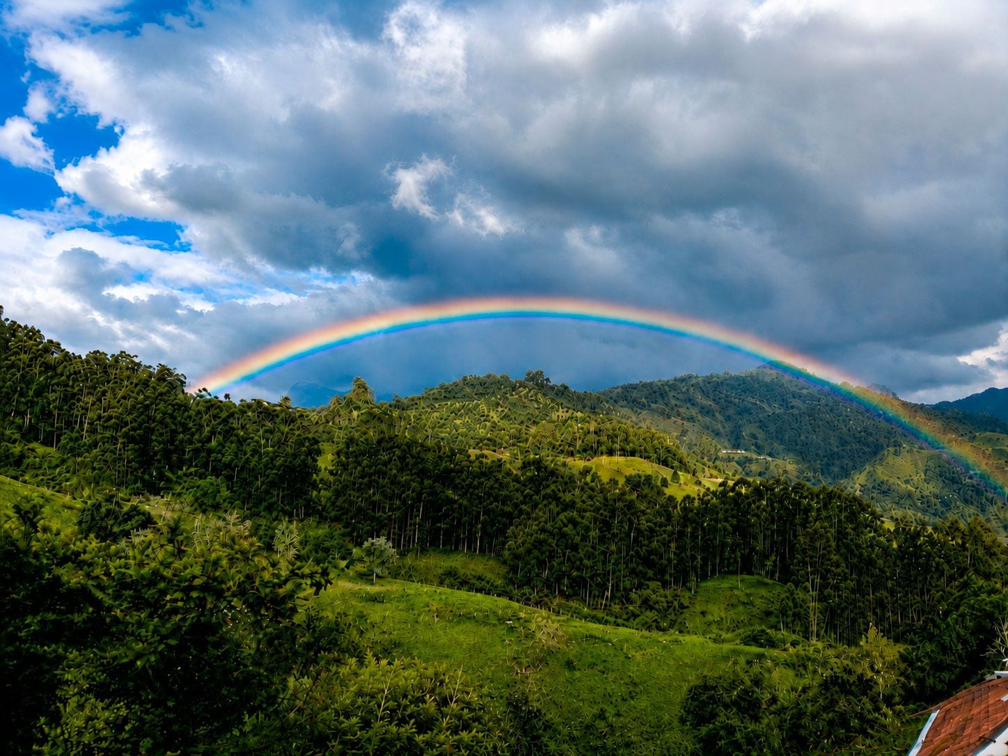 A lush green landscape with a mountain range and a rainbow.