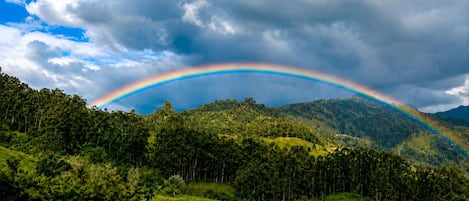 A lush green landscape with a mountain range and a rainbow.