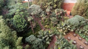 An aerial view of a lush garden with dense foliage, a wooden deck with tables and chairs, and a brick wall in the background. - Incredible Apartment Reforma 3rooms Great Location (Mexico City)