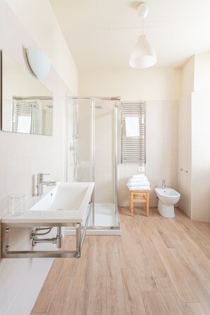 Regadera, secadora de cabello, bidet, toallas 