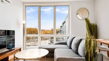 A modern living room with a large window, a grey sofa, a round coffee table, a TV, and a cactus plant.
