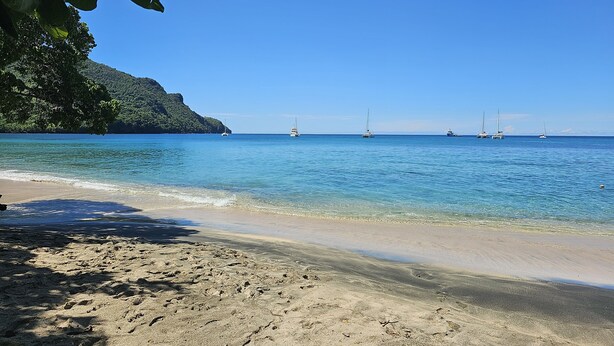 A beach with clear blue water, boats, and a forested hillside. - Wild Lotus Glamping (Bequia Island)