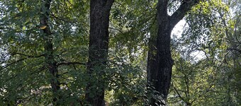 Key to Austin Rock Lounge