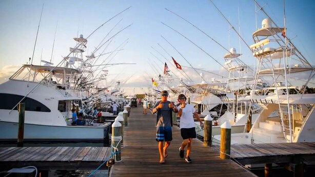 A marina with multiple yachts docked, a wooden walkway, and a clear sky.