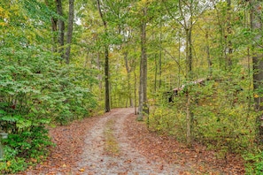 A forest path with trees and fallen leaves. - Casa Carezza, Pet Friendly (Logan)