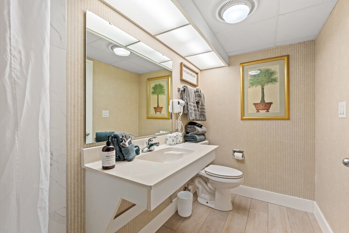 Une salle de bain avec un grand miroir, un lavabo, des toilettes et un rideau de douche.