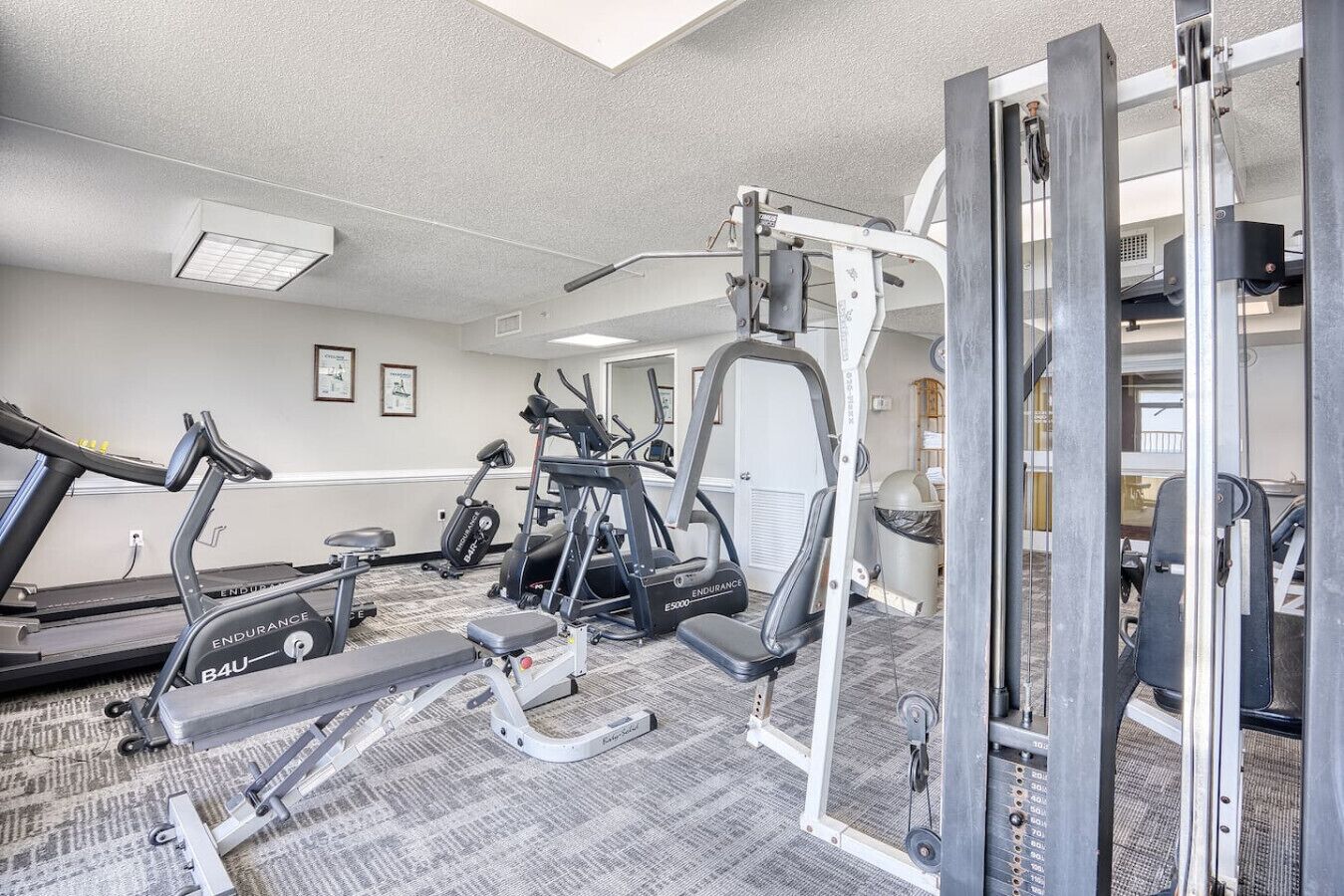 A gym with treadmills, elliptical machines, and weightlifting equipment.