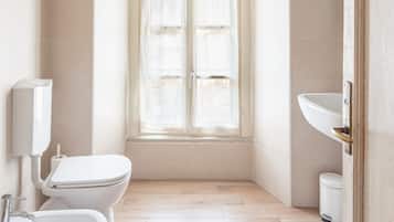 Regadera, secadora de cabello, bidet, toallas