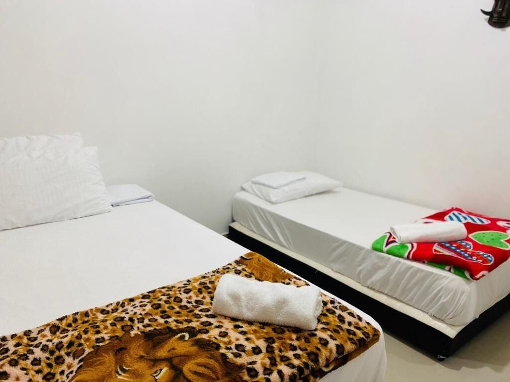 Foto - casa hostal las palmeras