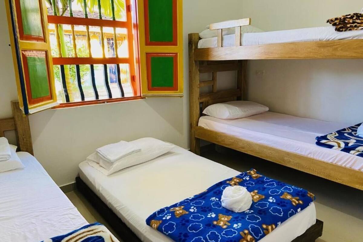 A room with bunk beds, a window with a view of palm trees, and a bed with a blue blanket.