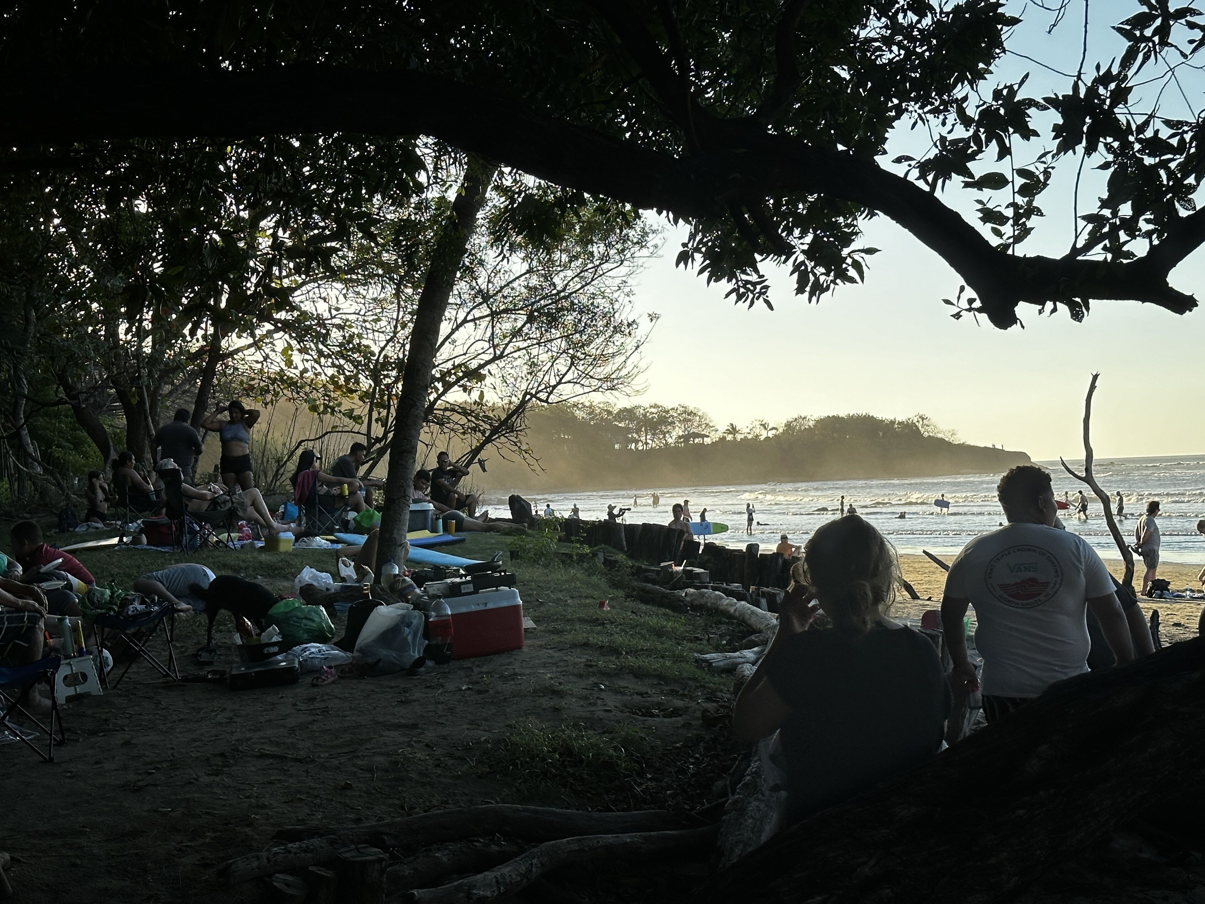 A beach scene with people relaxing under trees, some sitting on chairs and others standing.