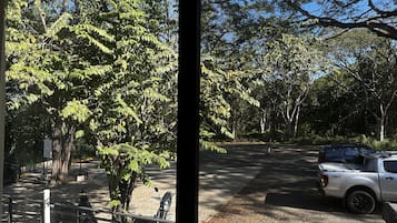 Apartemen Basic | Pemandangan taman