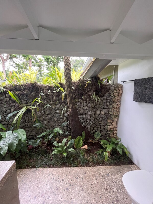 A stone wall with a tree growing through it, surrounded by various plants. - Eden on the River (Rentapow)