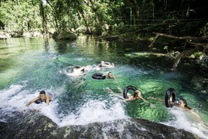 People swimming in a clear river surrounded by trees. - Eden on the River (Rentapow)