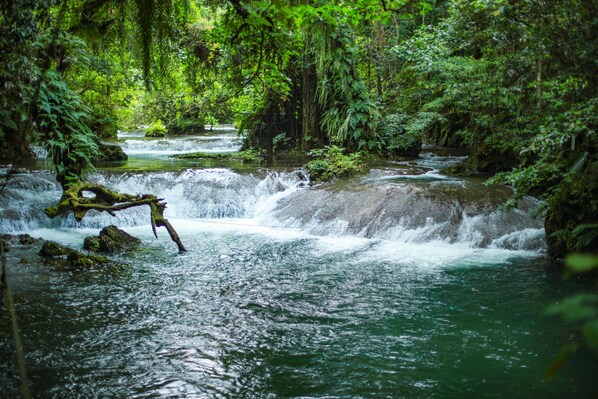 A natural waterfall in a forested area. - Eden on the River (Rentapow)