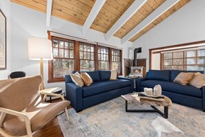 TV, fireplace, video games, books