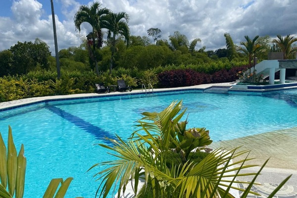 Outdoor pool, open 8:00 AM to 9:00 PM, pool umbrellas, sun loungers