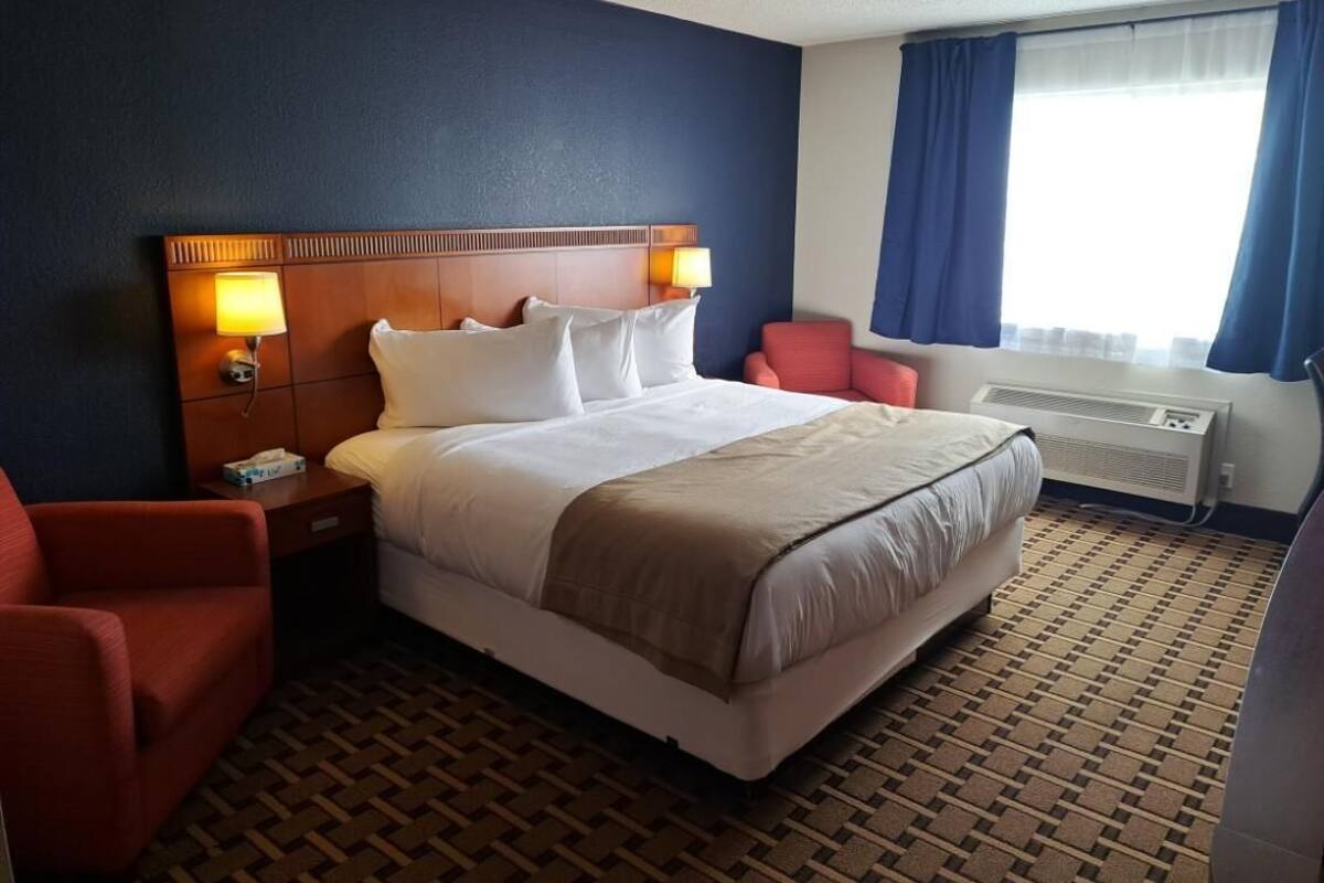 A hotel room with a large bed, a nightstand with a lamp, a red chair, a window with blue curtains, and a patterned carpet.