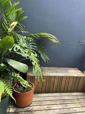 Property grounds - Lujoso Penthouse Poblado (Medellin)