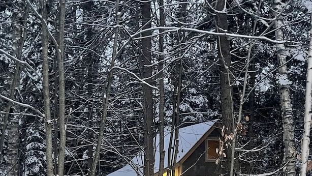 A wooden cabin surrounded by snow-covered trees.