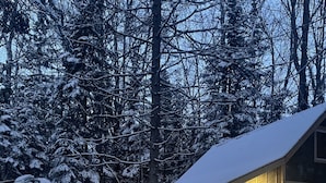 A cabin with a covered porch and a grill, surrounded by snow-covered trees.